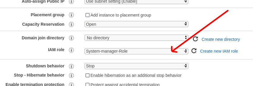 Apply the System-manager-Role to this instance