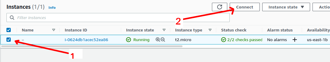 Select instance and click connect